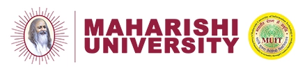MTU University Engineering Programs Logo
